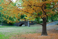 Central Park