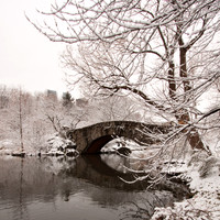 Central Park