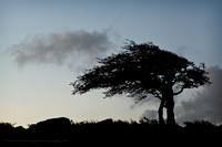 Combestone Tor