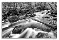 Shaugh Prior