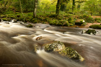 Shaugh Prior