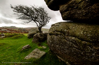 Holwell Tor