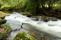 Shaugh Prior