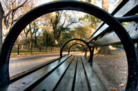 November 2010 - "Autumn" - Not Placed
