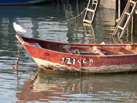 Tai O (大澳), Hong Kong