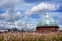 Canary Wharf from Grenwich